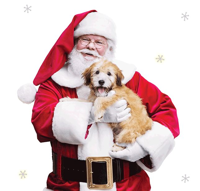 Santa Claus with Puppy